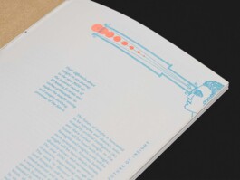 Riso zine design with vintage illustrations for Sarah DaVanzo by Hannah pohlmann Brand Design