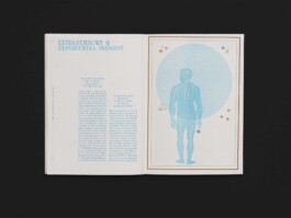 Riso zine design with vintage illustrations for Sarah DaVanzo by Hannah pohlmann Brand Design