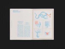 Riso zine design for Insight Alchemy by Hannah Pohlmann, showcasing editorial design inspired by alchemy and exploration. Brand Design