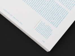 Riso zine design Insight Alchemy by Hannah Pohlmann, featuring minimalistic layouts and vibrant colors to reflect alchemy and curiosity. Brand Design