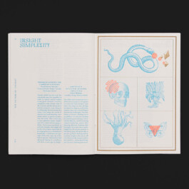 Riso zine design for Insight Alchemy by Hannah Pohlmann, featuring minimalistic layouts and vibrant colors to reflect alchemy and curiosity. Brand Design