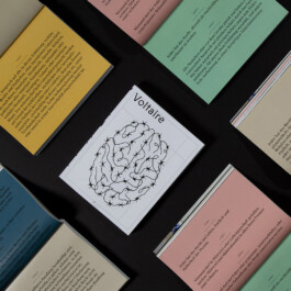 Inside pages of the Voltaire Magazin, designed by Hannah Pohlmann, with brutalist typography and copier-style effects for a document-like look. Brand Design