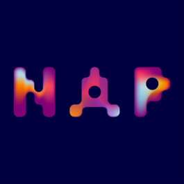 NAP Logo Design by Hannah Pohlmann Brand Design
