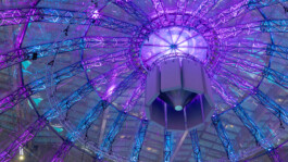 Eventhalle, Amprion Procurement Insights, Key Visual von Hannah Pohlmann Brand Design